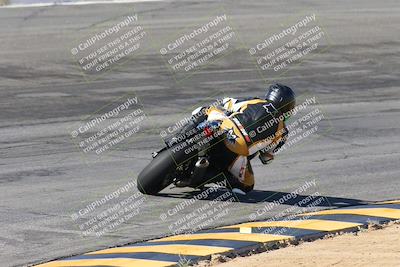 media/Feb-04-2024-SoCal Trackdays (Sun) [[91d6515b1d]]/4-Bowl Backside (11am)/